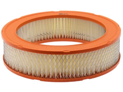 Imagen de Filtro de Aire FRAM CA176 Para Checker Aerobus 1966-1969, Checker Marathon 1965-1969, Checker Taxicab 1965-1969, y Otros