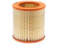 Imagen de Filtro de Aire FRAM CA3902 Para Buick Century Fwd 1994-1996, Buick Regal 1990-1993, Chevrolet Camaro 1990-1992, y Otros