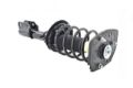 Imagen de Amortiguador Trasero Derecho 1332304R Para Buick Century Fwd 1997-2005, Buick Regal 1997-2004, Pontiac Grand Prix 1997-2003