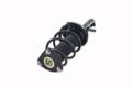 Imagen de Amortiguador Frontal Izquierdo 1335894L Para Ford Focus 2013