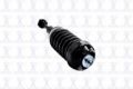 Imagen de Amortiguador Frontal 1345950 Para Lincoln Aviator 2003-2005