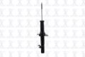 Imagen de Amortiguador Frontal Izquierdo 335569L Para Acura Rl 2002-2004