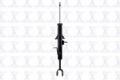 Imagen de Amortiguador Frontal Izquierdo 335584L Para Infiniti G35 2003-2006