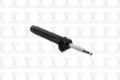 Imagen de Amortiguador Frontal Izquierdo 335807L Para Bmw X1 2013-2015
