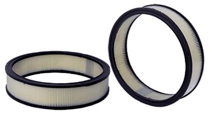 Imagen de Filtro de Aire Wix 46038 Para Pontiac Firebird 1981