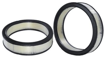 Imagen de Filtro de Aire Wix 42095 Para Buick Apollo/skylark 1977, Buick Century/regal 1973-1977, Buick Full Size Buick Rwd 1968-1980, y Otros