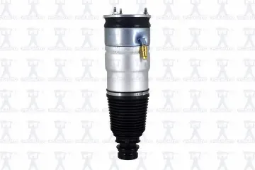 Mostrar detalles de Amortiguador Aire 93015 Para Tesla Model S 2014-2016 Imagen de Amortiguador Aire 93015 Para Tesla Model S 2014-2016