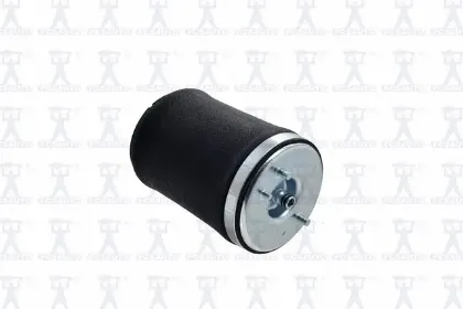 Imagen de Resorte de Aire Q4023 Para Bmw 525i 2001-2003, Bmw 528i/ia 1999-2000, Bmw 540i 1999-2003
