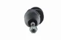Imagen de Rotula K100116 DM15.4100116