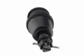 Imagen de Rotula K500083 DM15.4500083