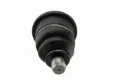 Imagen de Rotula K500119 DM15.4500119