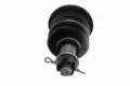 Imagen de Rotula K80604 DM30.480604