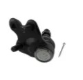 Imagen de Rotula K500040 TO43330.09670