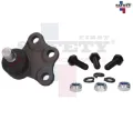 Imagen de ROTULA INFERIOR IZQ CORSA 03-08 CAJA EASYTRONIC MERIVA 04-08