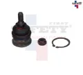 Imagen de ROTULA INFERIOR IZQ DER VERNA 04-06 HY ACCENT 00-06 54503-22A00