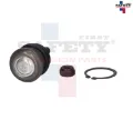 Imagen de ROTULA INFERIOR IZQ DER VERNA 04-06 HY ACCENT 00-06 54503-22A00