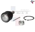 Imagen de ROTULA SUPERIOR IZQ DER RANGER 13-21 4072032