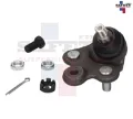 Imagen de ROTULA INFERIOR DER CIVIC 06-11 5072002