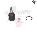 Imagen de ROTULA INFERIOR IZQ DER ELEMENT 03-08 5072011