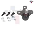 Imagen de ROTULA INFERIOR IZQ MG MG5 21-24 1.5L MG GT 21-24 1.5T C/ACCESORIOS 4872003