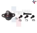Imagen de ROTULA INFERIOR IZQ DER PG 207 08-12 1.4L 1.6L 208 14-20 1.6L 1.6TDI 7072006