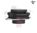 Imagen de SOPORTE TRANSMISION PLATINA RN CLIO 02-10 KANGOO 04-16 1.6L T/STD 1089 7008 2916109