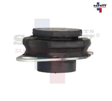 Mostrar detalles de SOPORTE TRANSMISION PLATINA RN CLIO 02-10 KANGOO 04-16 1.6L T/STD 1089 7008 2916109 Imagen de SOPORTE TRANSMISION PLATINA RN CLIO 02-10 KANGOO 04-16 1.6L T/STD 1089 7008 2916109
