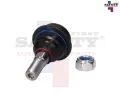 Imagen de ROTULA INFERIOR SUPERIOR IZQ DER COMBI 73-01
