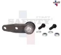Imagen de ROTULA INFERIOR IZQ DER PLATINA 02-10 RN CLIO 02-10 KANGOO 04-19 MEGANE 01-03 7701-468-411