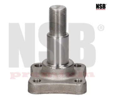 Mostrar detalles de MUÑON EJE TRASERA PLATINA 02-10 CLIO 02-10 APRIO 08-10 4BARRENOS 2316012 NSB Imagen de MUÑON EJE TRASERA PLATINA 02-10 CLIO 02-10 APRIO 08-10 4BARRENOS 2316012 NSB