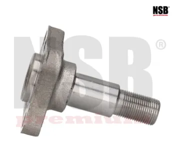 Mostrar detalles de MUÑON EJE TRASERA PLATINA 02-10 CLIO 02-10 APRIO 08-10 4BARRENOS 2316012 NSB Imagen de MUÑON EJE TRASERA PLATINA 02-10 CLIO 02-10 APRIO 08-10 4BARRENOS 2316012 NSB