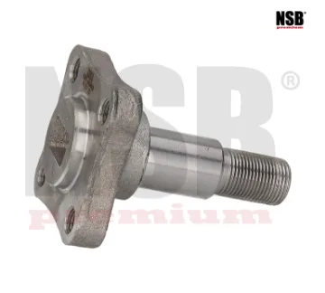 Mostrar detalles de MUÑON EJE TRASERA PLATINA 02-10 CLIO 02-10 APRIO 08-10 4BARRENOS 2316012 NSB Imagen de MUÑON EJE TRASERA PLATINA 02-10 CLIO 02-10 APRIO 08-10 4BARRENOS 2316012 NSB