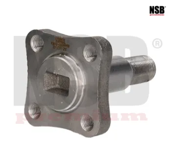 Mostrar detalles de MUÑON EJE TRASERA PLATINA 02-10 CLIO 02-10 APRIO 08-10 4BARRENOS 2316012 NSB Imagen de MUÑON EJE TRASERA PLATINA 02-10 CLIO 02-10 APRIO 08-10 4BARRENOS 2316012 NSB