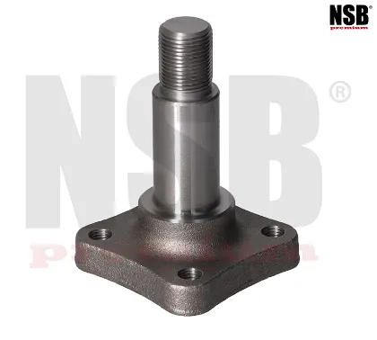 Imagen de MUÑON EJE TRASERA VERSA I 12-19 MARCH 11-24 V-DRIVE 20-24 NOTE 14-19 1.6L 4BARRENOS MN1HA0 NSB