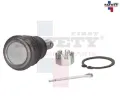 Imagen de ROTULA INFERIOR IZQ DER BR-V 18-22 1.5L 51220-TG2-T02