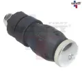 Imagen de TORNILLO ESTABILIZADOR DELANTERA IZQ DER PLATINA 02-10 RN CLIO 02-10 KANGOO 04-17 2116015