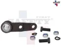 Imagen de ROTULA INFERIOR IZQ DER AVEO I 08-18 G3 06-09 1003008