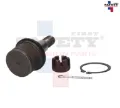 Imagen de ROTULA INFERIOR IZQ DER E250 E350 07-14 1008019