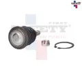 Imagen de ROTULA INFERIOR IZQ DER ACCORD 03-07 AC TSX 04-08 1009008 5072006