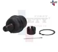 Imagen de ROTULA INFERIOR IZQ DER E250 E350 92-06