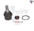 Imagen de ROTULA INFERIOR IZQ DER EXPLORER 94 4X4 RANGER 94-97 4X4 PICK UP B2300 94-97 4X4