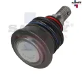 Imagen de ROTULA INFERIOR IZQ DER AVANZA 12-21 8772036