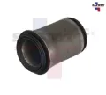 Imagen de BUJE HORQUILLA SUP IZQ DER H100 03-10 VAN 1000 08-09 GRANDE 3025020