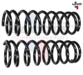 Imagen de RESORTE AMORTIGUADOR TRASERA IZQ DER ACCORD 08-12 4 Y 6 CIL SET/2PZ 5070017