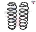 Imagen de RESORTE AMORTIGUADOR TRASERA IZQ DER GOLF JETTA A4 99-15 BEETLE 98-11 SET/2PZ 310-270 SAFET