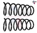 Imagen de RESORTE AMORTIGUADOR DELANTERA IZQ DER PLATINA 02-10 CLIO 02-10 KANGOO 04-17 SET/2PZ 2347