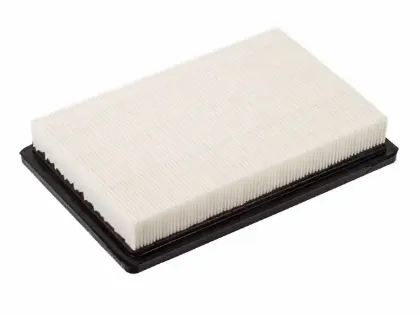 Imagen de Filtro de Aire PA5395 Para Hyundai Elantra 2001-2006, Hyundai Tiburon 2003-2008, Kia Spectra 2004-2009