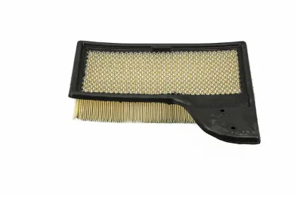 Imagen de Filtro de Aire PA10421 Para Ford Mustang 2015-2024