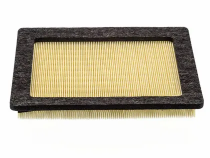 Imagen de Filtro de Aire PA5528 Para Ford Expedition 2005-2006, Ford F150 Pickup 2004-2008, Ford F250 Super Duty P/u 2005-2007, y Otros