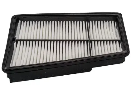 Imagen de Filtro de Aire PA6056 Para Hyundai Equus 2011-2016, Hyundai Genesis 2009-2014, Kia K900 2015-2017